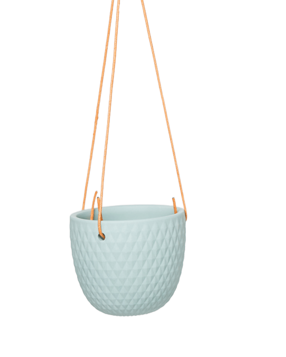 Virago Ceramic Modern Hanging Planter - Chive US Wholesale