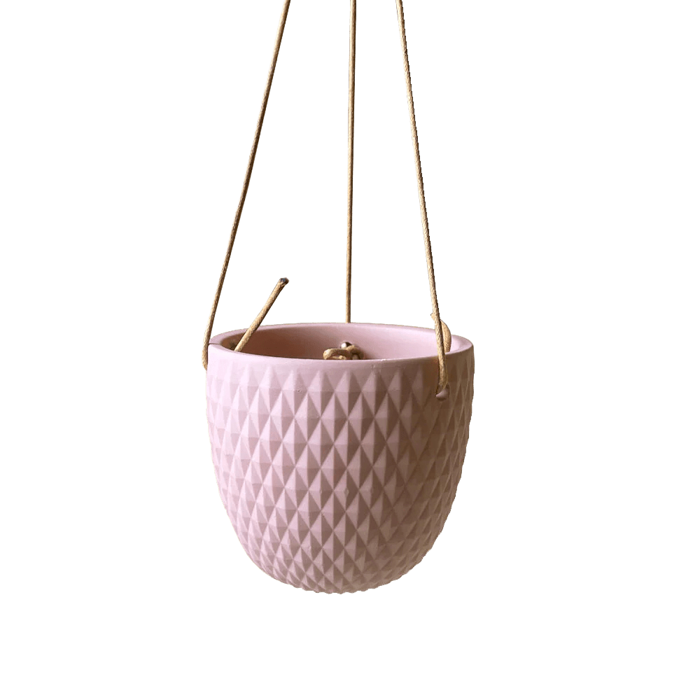 Virago Ceramic Modern Hanging Planter - Chive US Wholesale