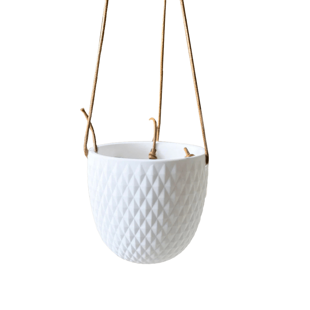 Virago Ceramic Modern Hanging Planter - Chive US Wholesale