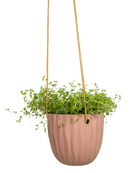 Virago Ceramic Modern Hanging Planter - Chive US Wholesale