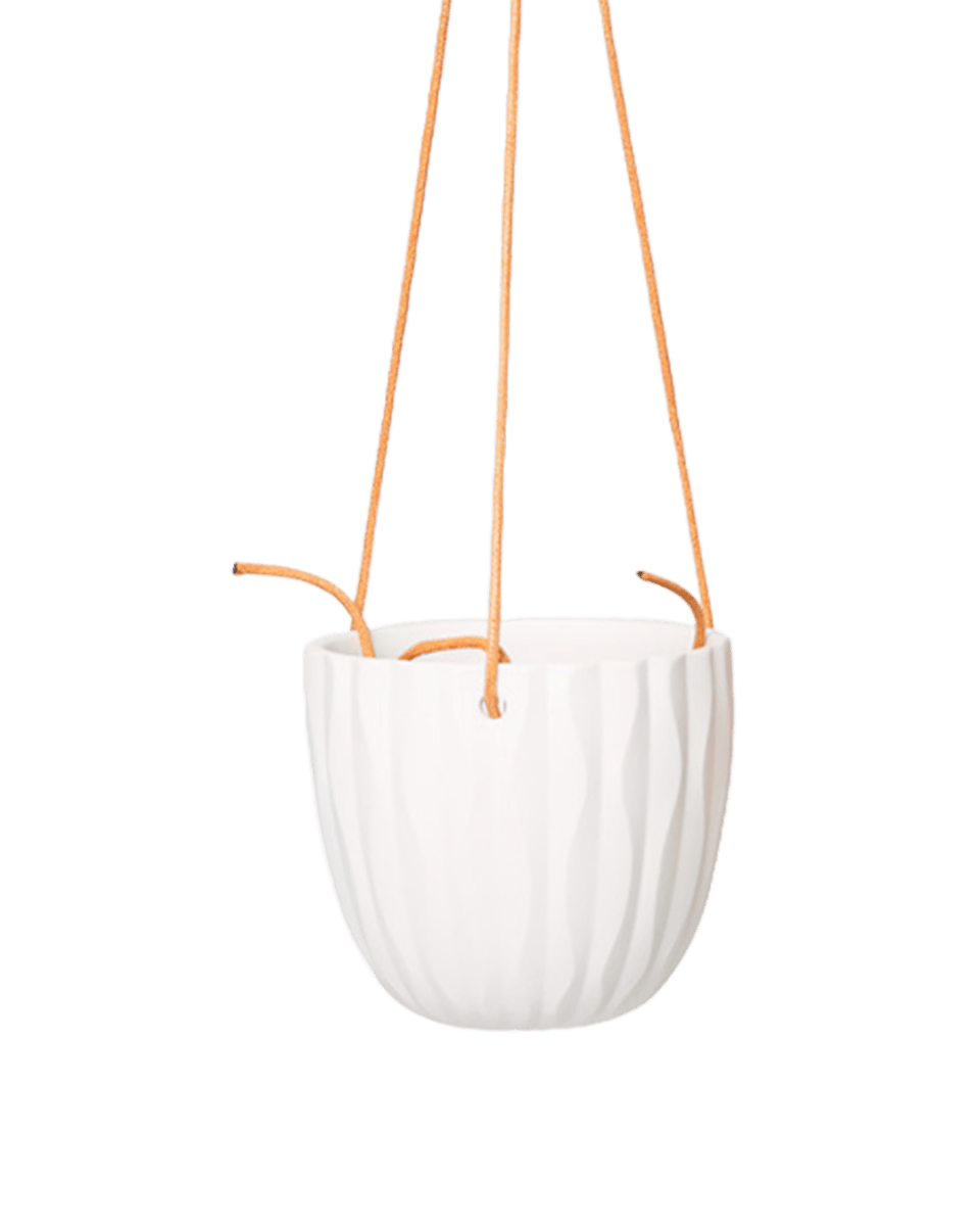 Virago Ceramic Modern Hanging Planter - Chive US Wholesale
