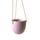 Virago Ceramic Modern Hanging Planter - Chive US Wholesale