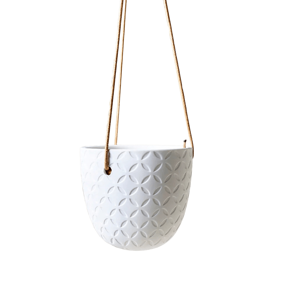 Virago Ceramic Modern Hanging Planter - Chive US Wholesale