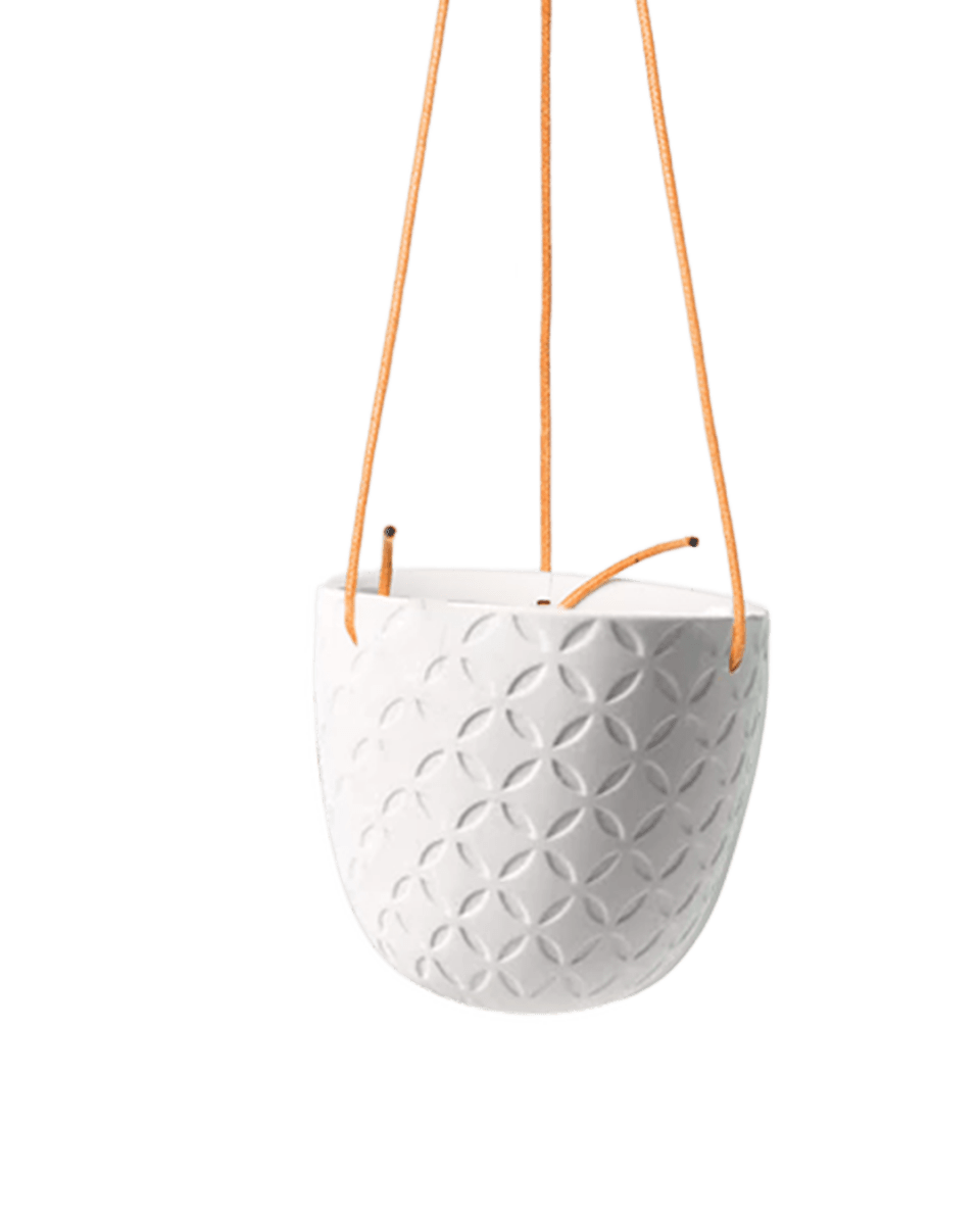 Virago Ceramic Modern Hanging Planter - Chive US Wholesale