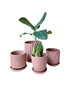 Virago Terracotta Pot And Saucer 48pc Kit - Small - Chive US Wholesale