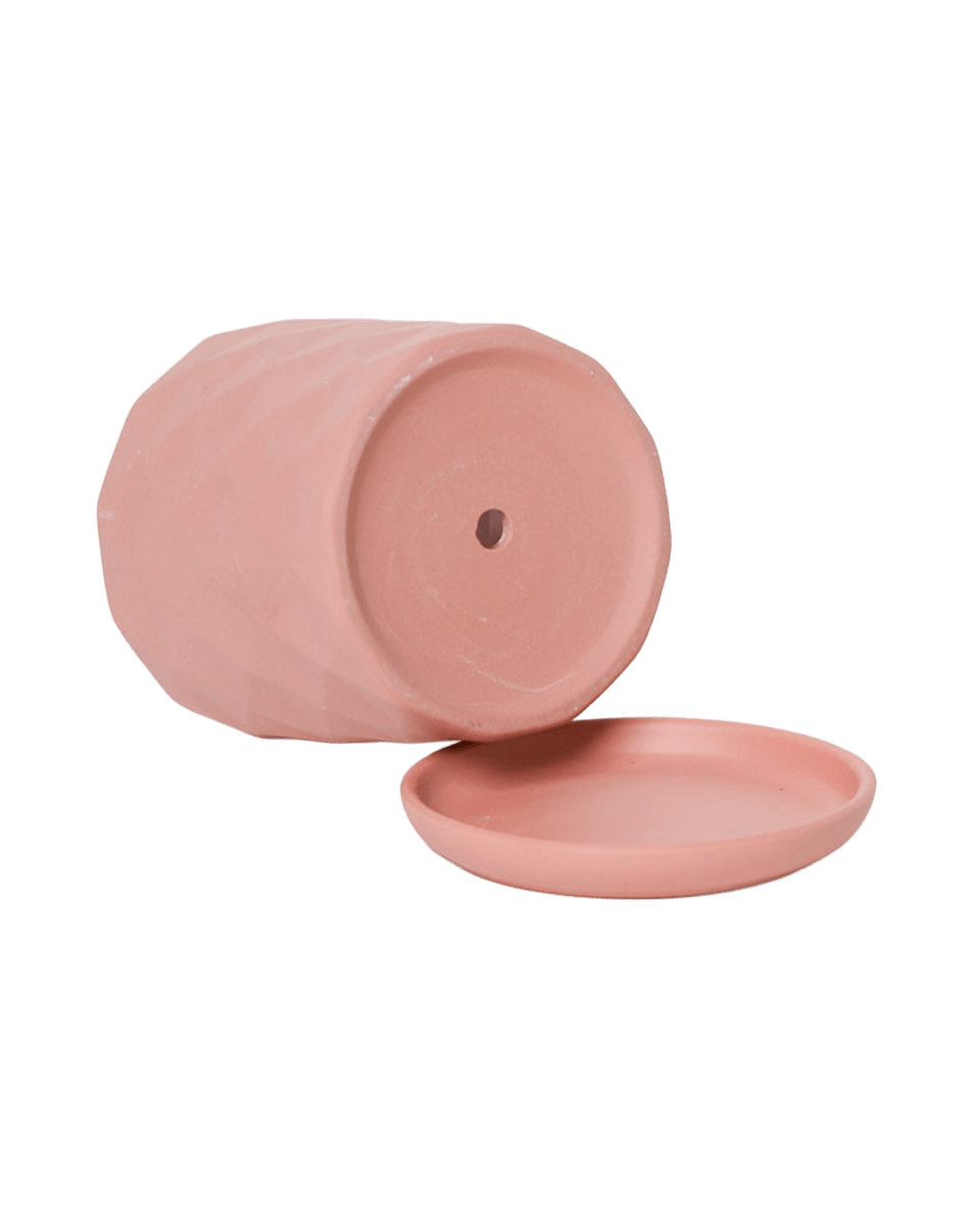 Virago 3.5" Porcelain Pot With Drainage Hole And Saucer - Chive US Wholesale