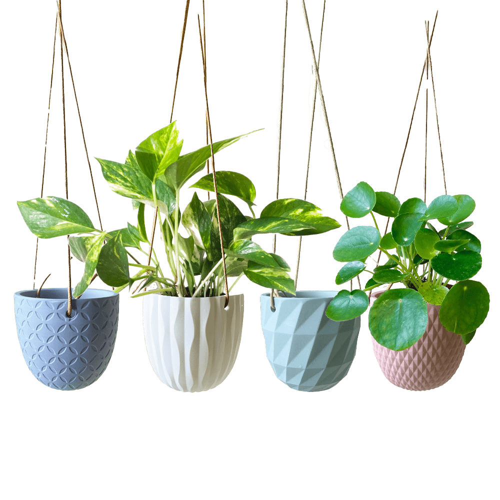 Virago Ceramic Modern Hanging Planter Kit - Chive US Wholesale