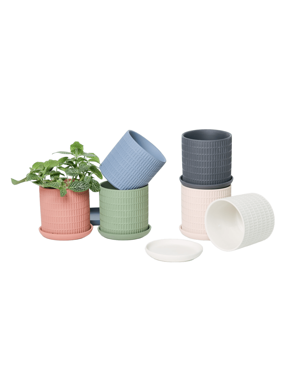 Virago 3.5" Porcelain Pot With Drainage Hole And Saucer - Chive US Wholesale