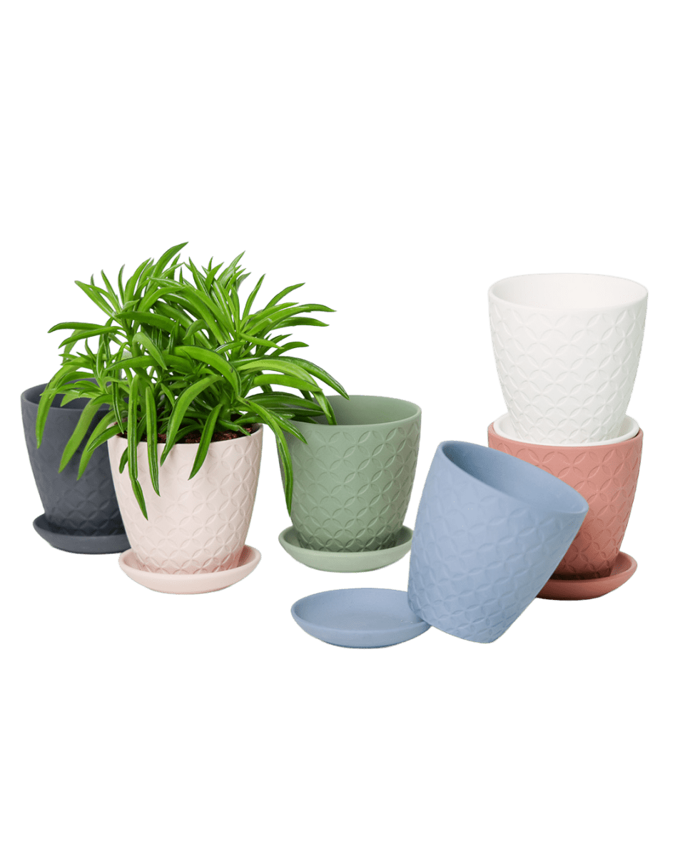 Virago 3.5" Porcelain Pot With Drainage Hole And Saucer - Chive US Wholesale