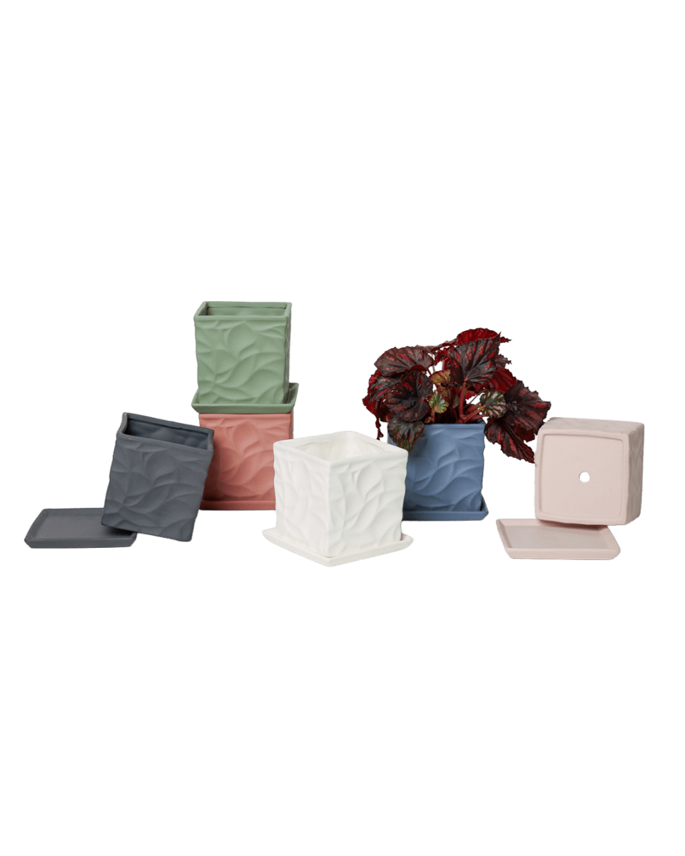 Virago 3.5" Porcelain Pot With Drainage Hole And Saucer - Chive US Wholesale