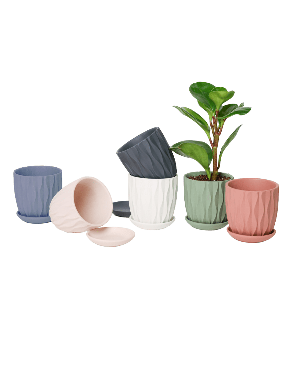 Virago 3.5" Porcelain Pot With Drainage Hole And Saucer - Chive US Wholesale