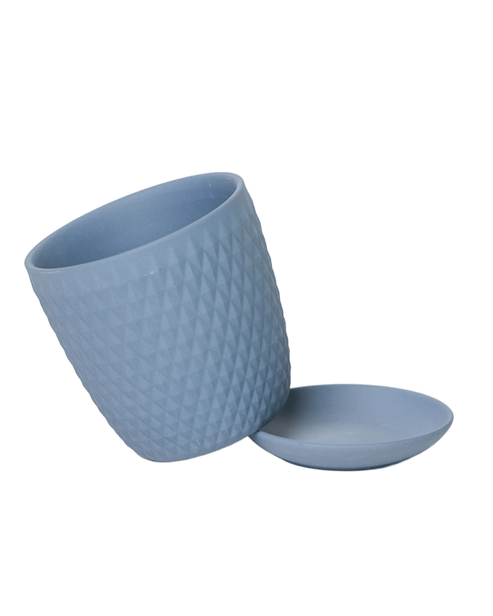 Virago 3.5" Porcelain Pot With Drainage Hole And Saucer - Chive US Wholesale