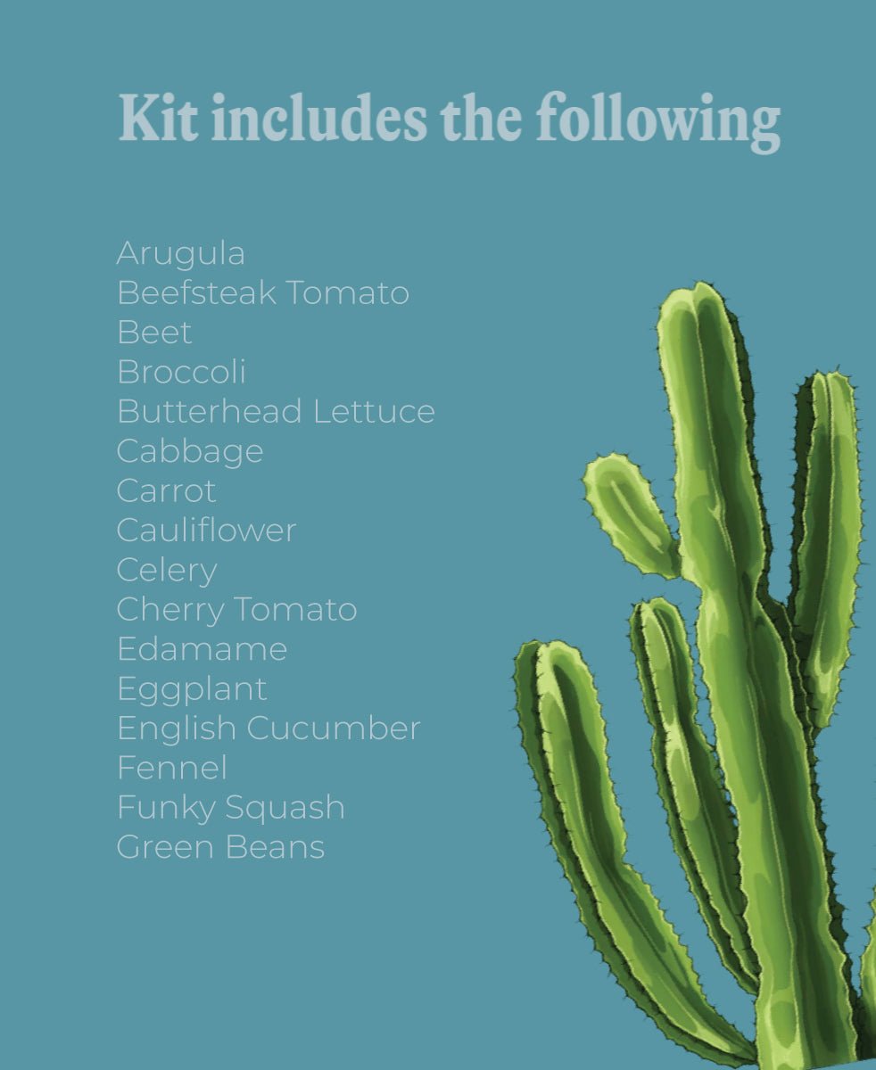 Vegetable Seeds Packets - 96pc Assortment 2 - Chive US Wholesale