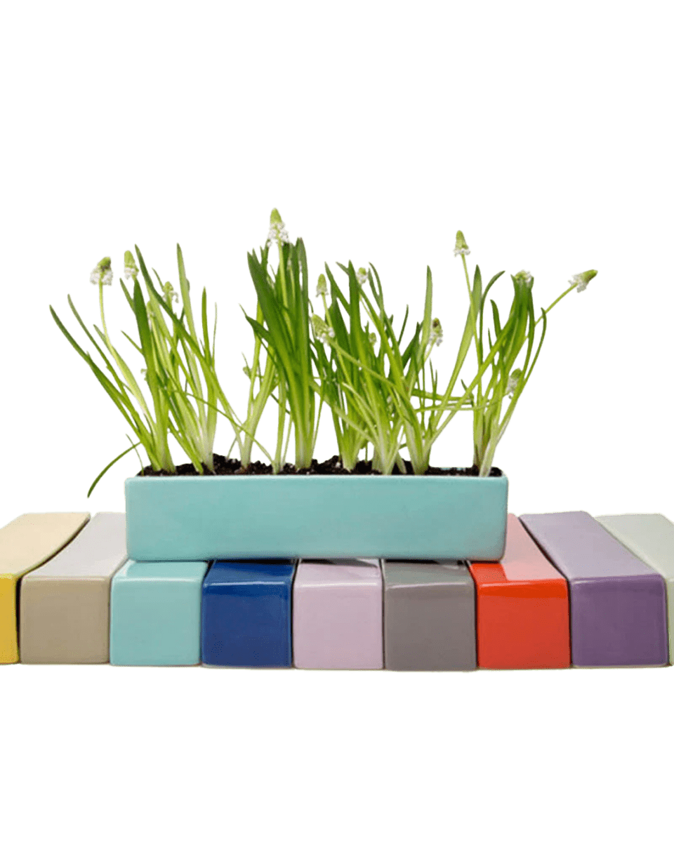 Wall Brick Planter 24pc Kit - Best Sellers - Chive US Wholesale