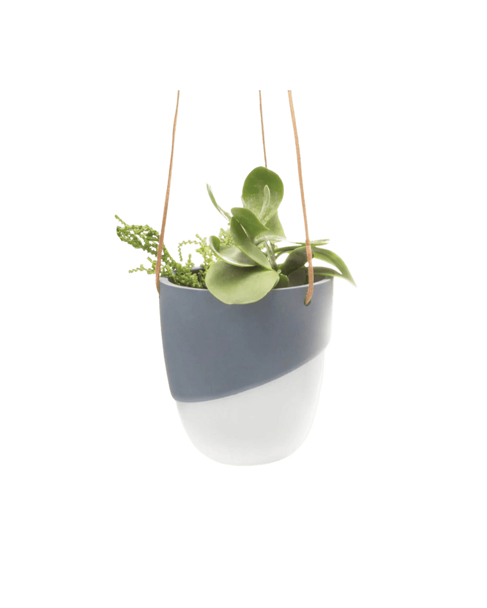 Bobbin Porcelain Modern Hanging Indoor Plant Pot - Chive US Wholesale