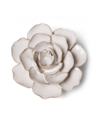 CO08 Ivory Amandine Ranunculus - Chive US Wholesale