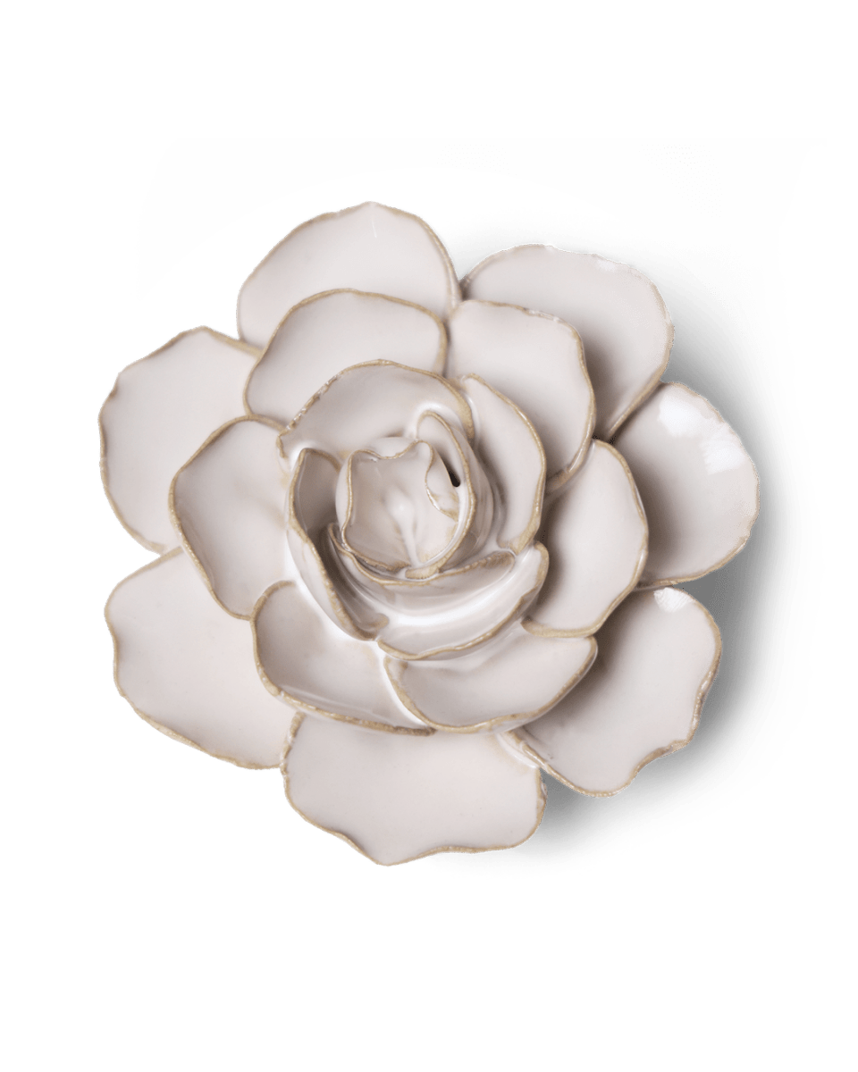CO08 Ivory Amandine Ranunculus - Chive US Wholesale