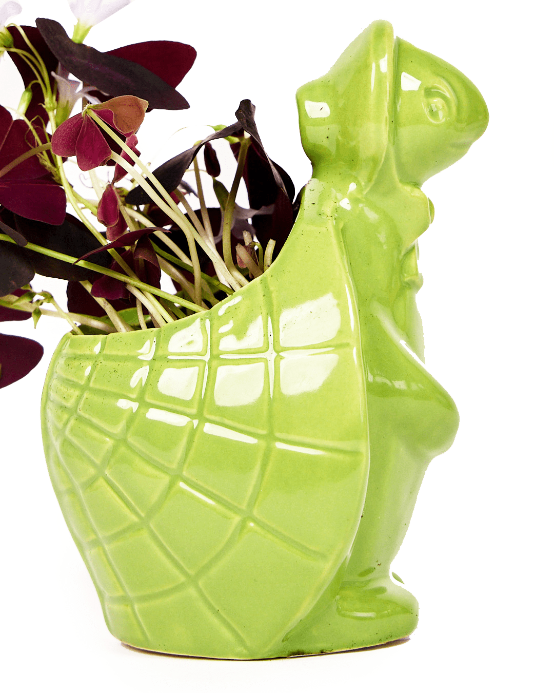 Turtle Ceramic Indoor Plant Pot For Succulents - Chive Ceramics Studio - Pots - Chive US Wholesale