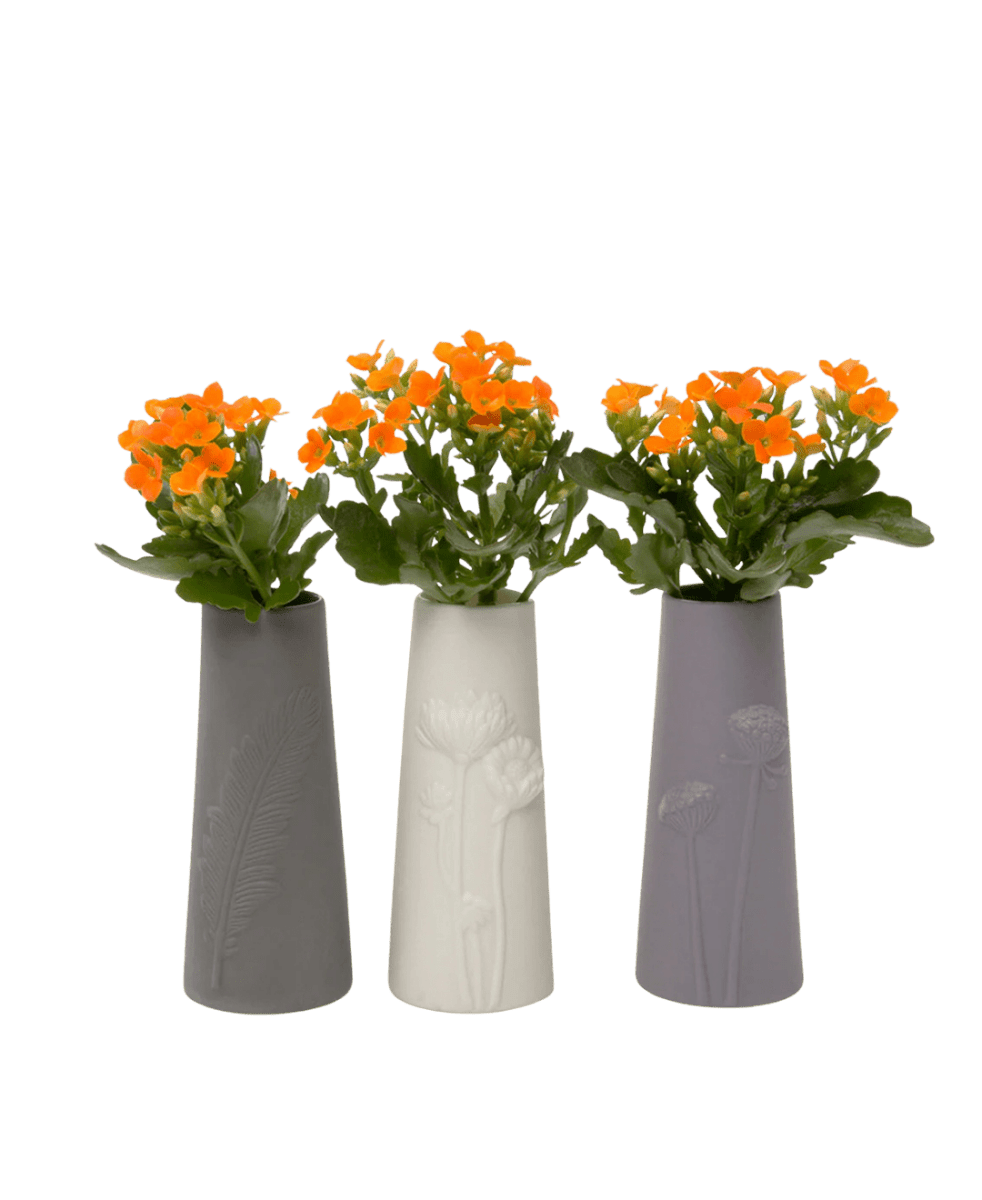 Olmstead Porcelain Bud Vase - Chive US Wholesale