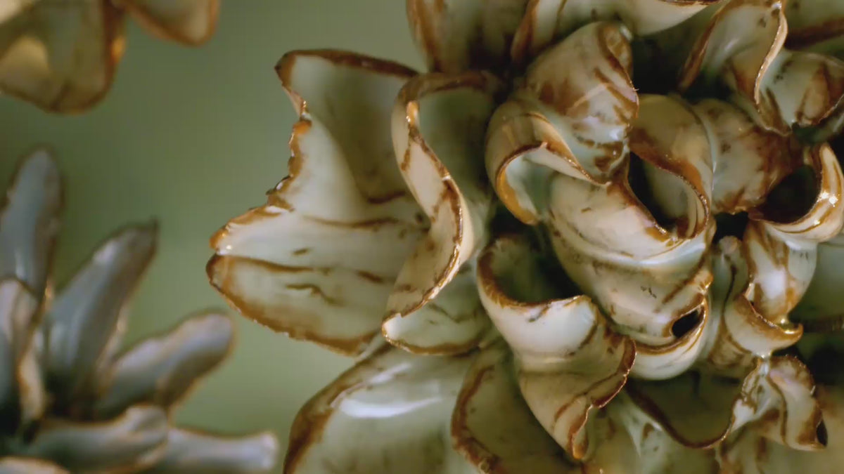 Japan Collection ceramic flowers rotating in macro — minimalist wall decor for the japandi aesthetic.