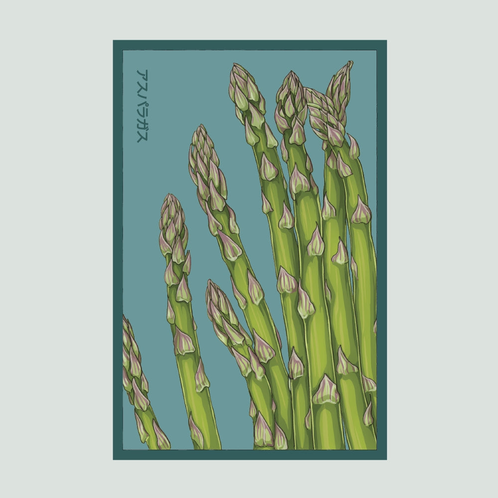 2026 Tomato Green Zebra Vegetable Seeds Packet – Chive US Wholesale