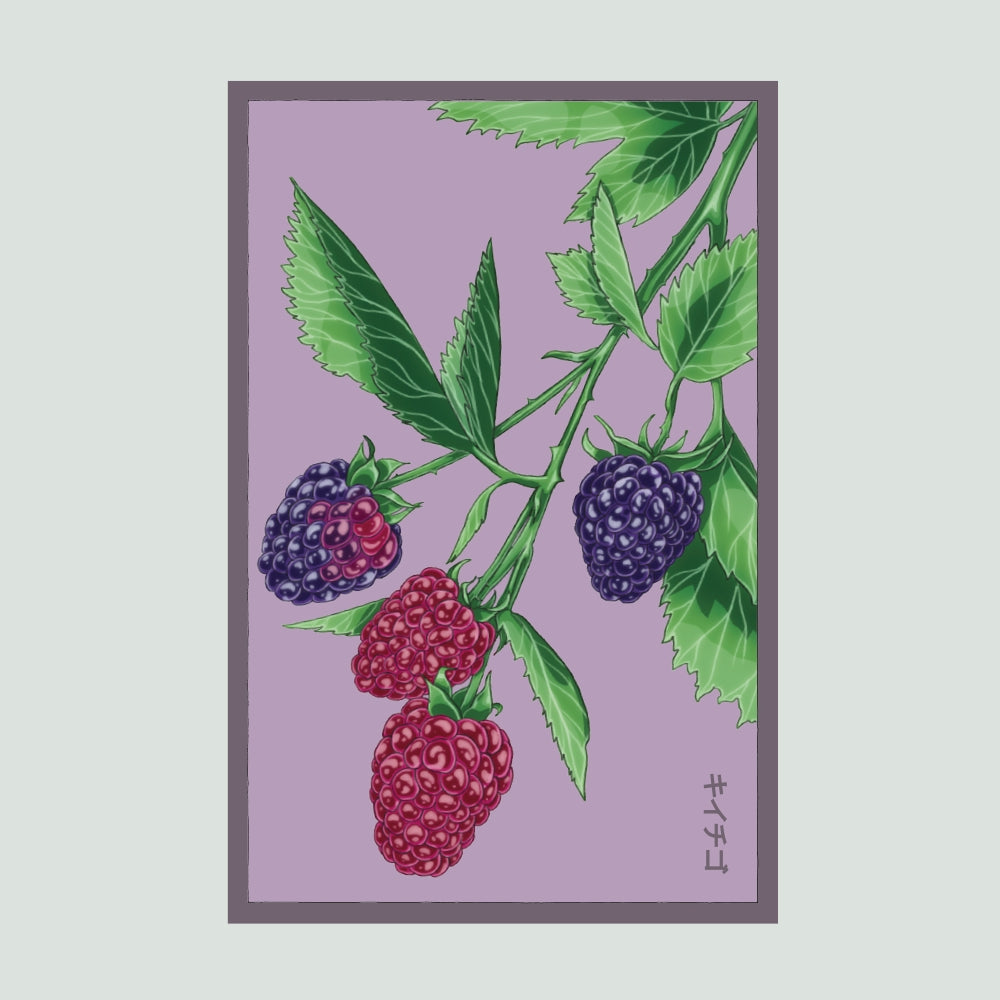 2026 Blackberry Flower Seeds Packet – Chive US Wholesale