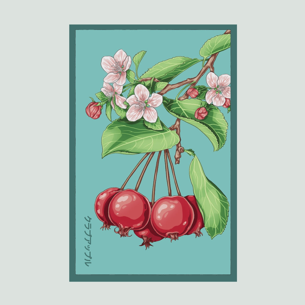 2026 Sensitive Plant Flower Seeds Packet – Chive US Wholesale