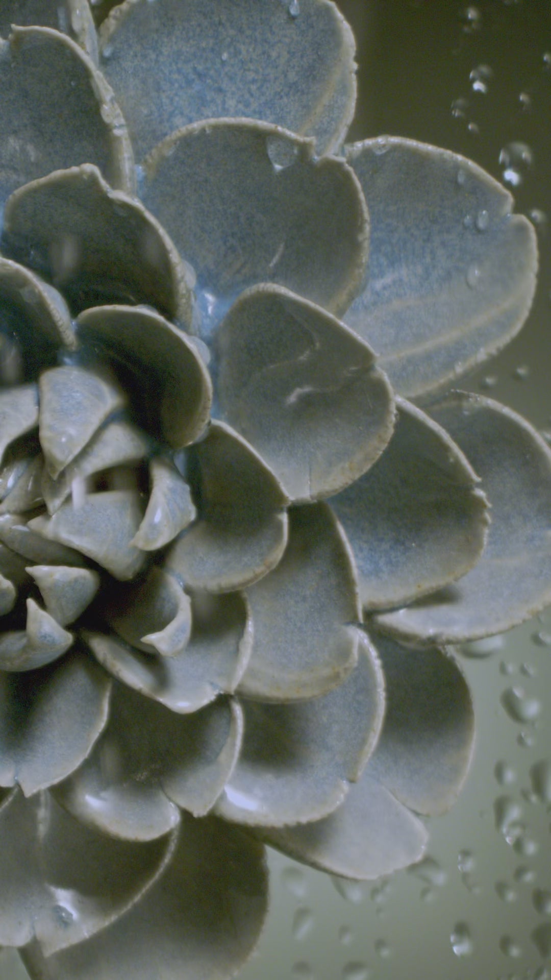 Decorate Your Wall with Handcrafted Ceramic Blue Flowers – Chive