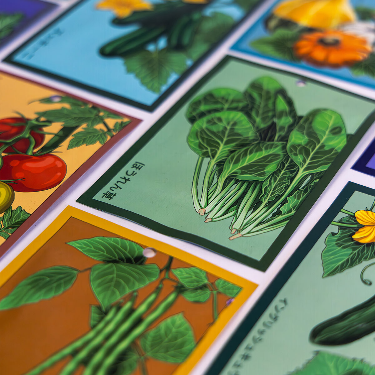 Vegetable Shido Seeds packets — Chive US Wholesale