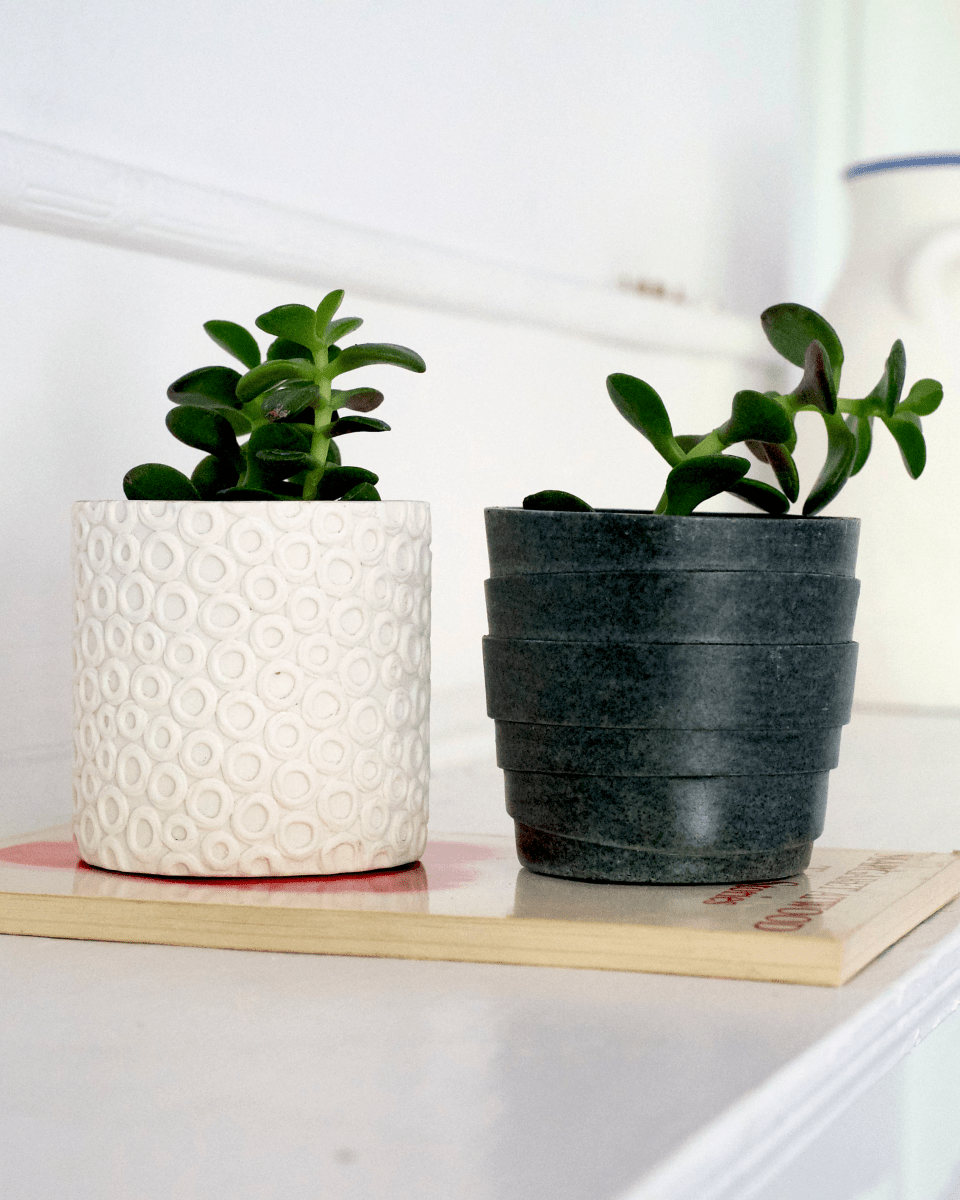 Stagma Resin Planter Pot - Chive US Wholesale